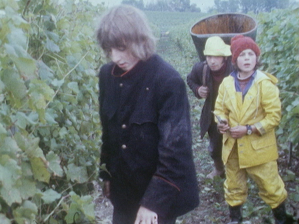 Vacances de vendanges