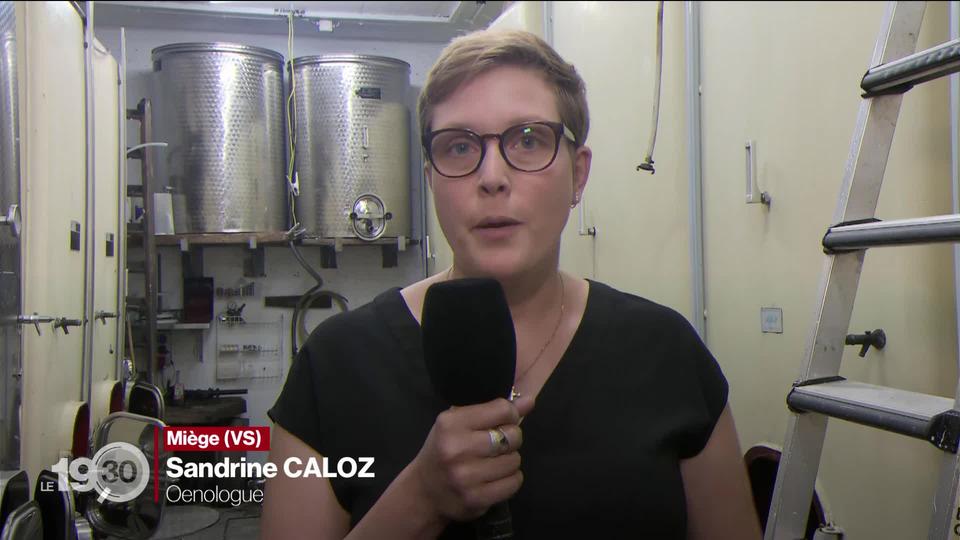 Sandrine Caloz, oenologue, commente les vendanges précoces en direct de Miège en Valais