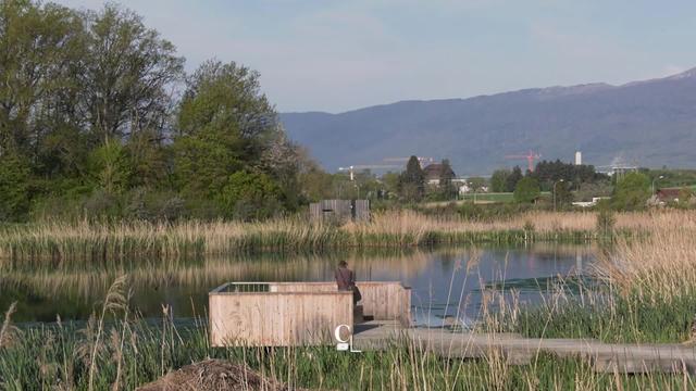 Le lac artificiel des Vernes, dans le canton de Genève, fait renaître la biodiversité en ville