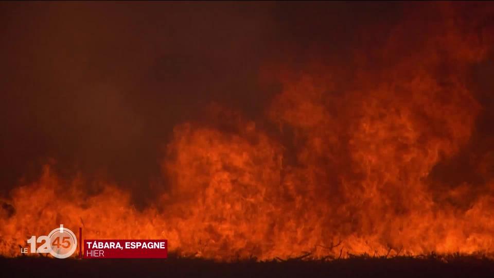 Les incendies en Espagne ont déjà détruit près de 60'000 hectares et tué deux personnes dans la province de Zamora