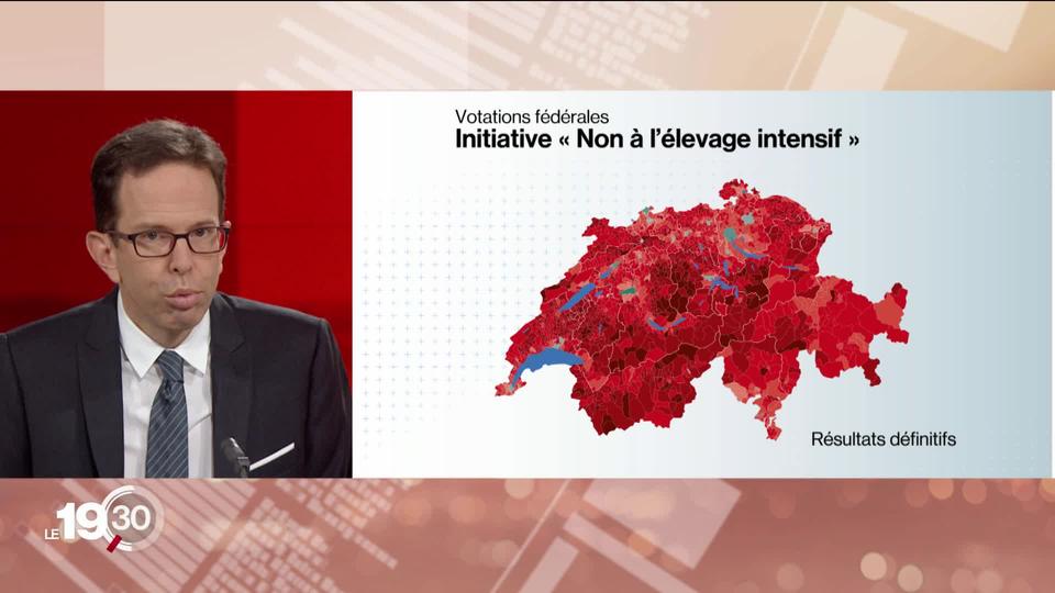 La Suisse a refusé d’interdire l’élevage intensif. Les précisions de Laurent Dufour, rédacteur en chef adjoint.