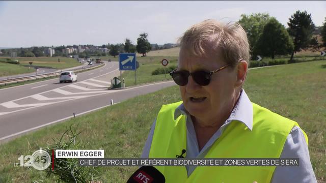 La Confédération veut plus de biodiversité aux abords des routes