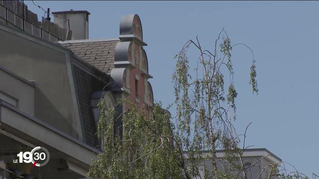 La canicule de cet été a mis à mal les espaces verts des villes. A Bienne, de nouvelles essences d’arbres font leur apparition.