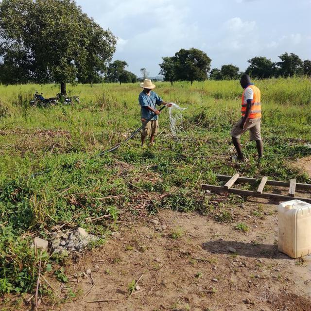 Ce projet d'une coopérative agricole a lieu à Borgou dans la région des Savanes située au nord-est du Togo [Ali Dahlab]