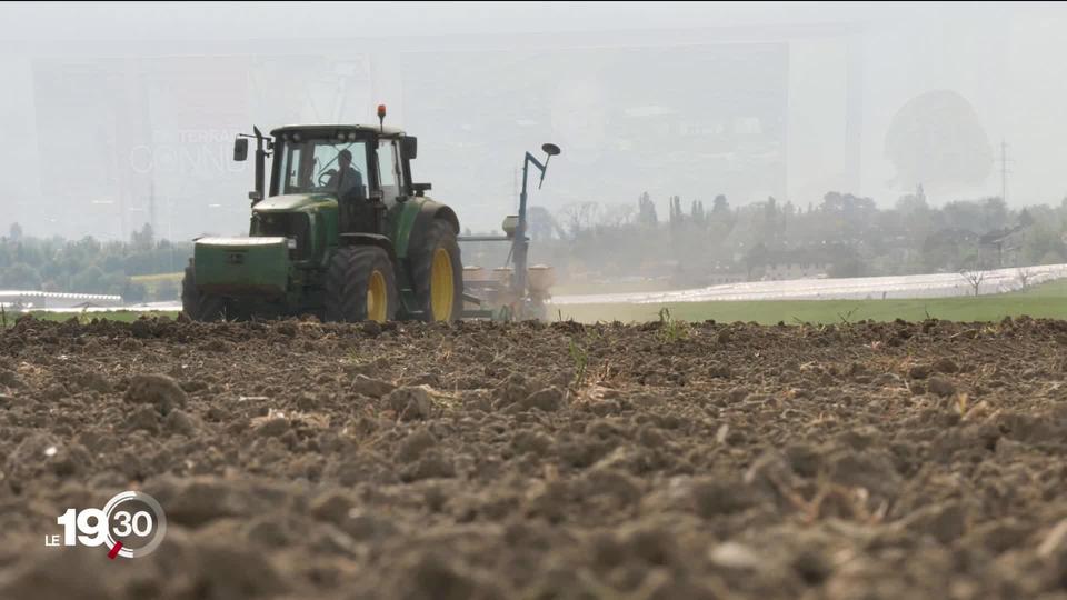 Les agriculteurs redoutent une pénurie d'engrais pour 2023