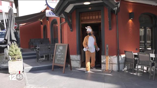 Élections libres au Conseil de Ville de Moutier: un Vert, Duja et un lapin sont choisis par le peuple