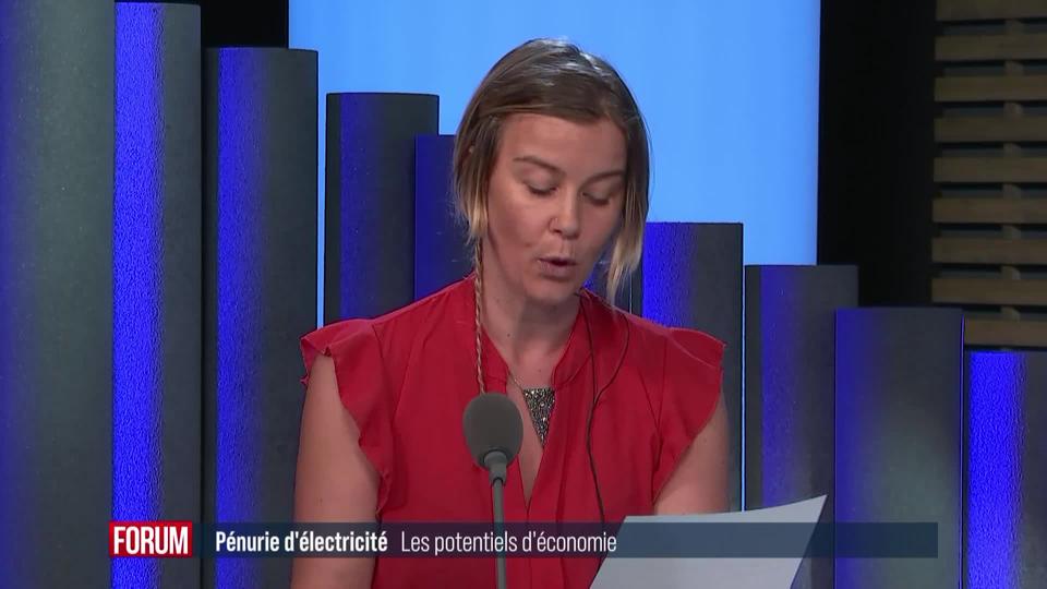 Pénurie d'électricité: les potentiels d'économie