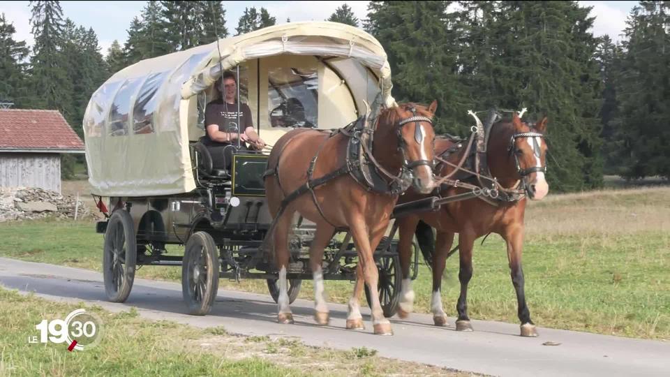 Le tourisme agricole séduit toujours plus les agriculteurs. Un succès dont l’impact économique est difficile à évaluer