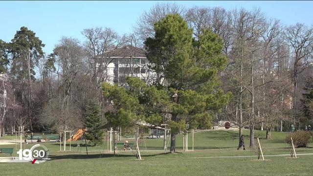 Les quartiers huppés de la cité de Calvin sont bien plus arborisés que les autres. L’arbre est-il un privilège des riches?