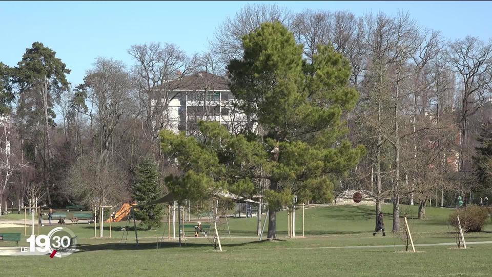 Les quartiers huppés de la cité de Calvin sont bien plus arborisés que les autres. L’arbre est-il un privilège des riches?