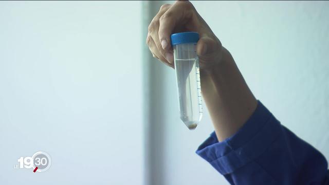 Des tests sont effectués dans les eaux usées pour déterminer la présence ou non du coronavirus dans la population