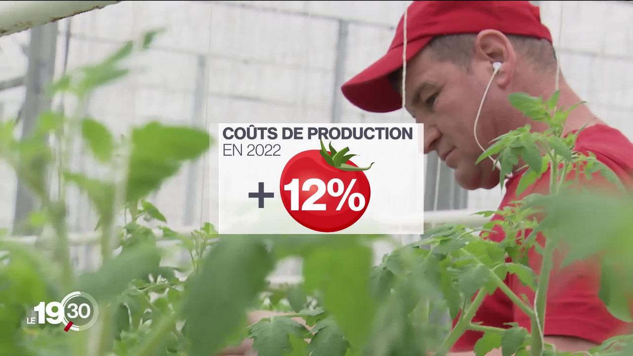 Les maraîchers suisses font face à une poussée des coûts de production. Fruits et légumes seront plus chers pour le consommateur