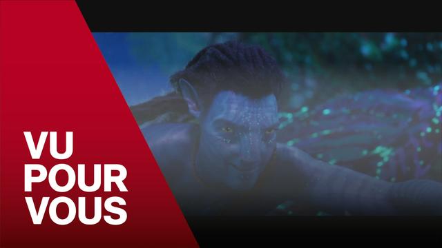 Vu pour vous - Sortie en salle du film Avatar 2