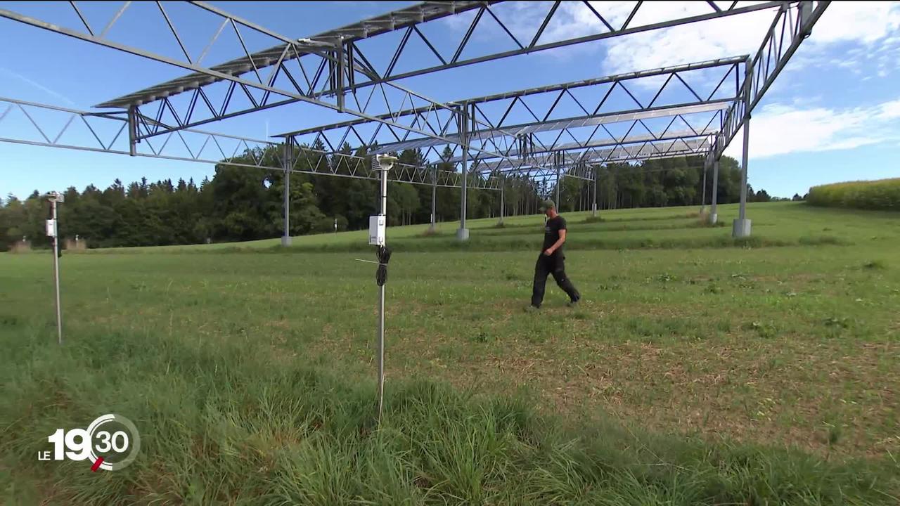 L’agriphotovoltaïque, soit installer des panneaux solaires sur les terrains agricoles, offre un fort potentiel d’énergie renouvelable