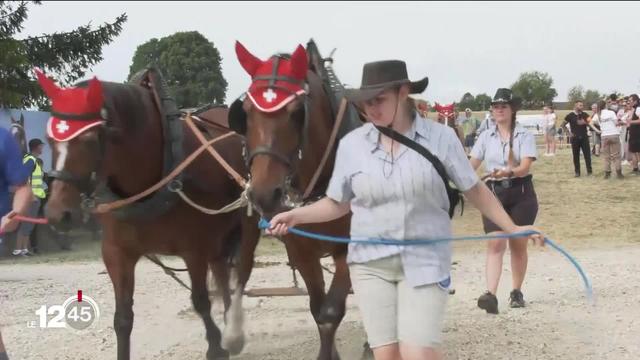 À Saignelégier, les Franches-Montagnes retrouvent leur Marché-Concours pour la 125e édition de cette grand-messe du cheval