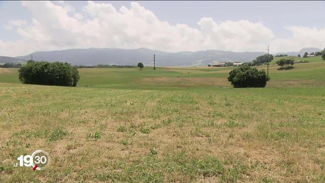 Plusieurs communes romandes ont émis des avis de restriction d'eau