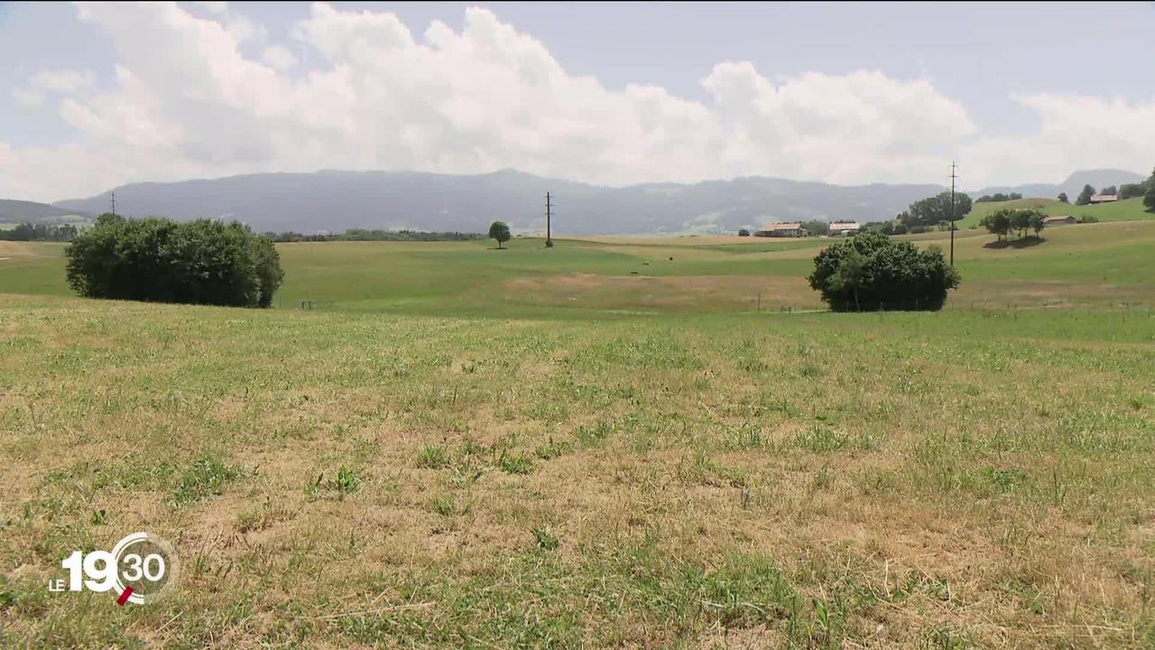 Plusieurs communes romandes ont émis des avis de restriction d'eau