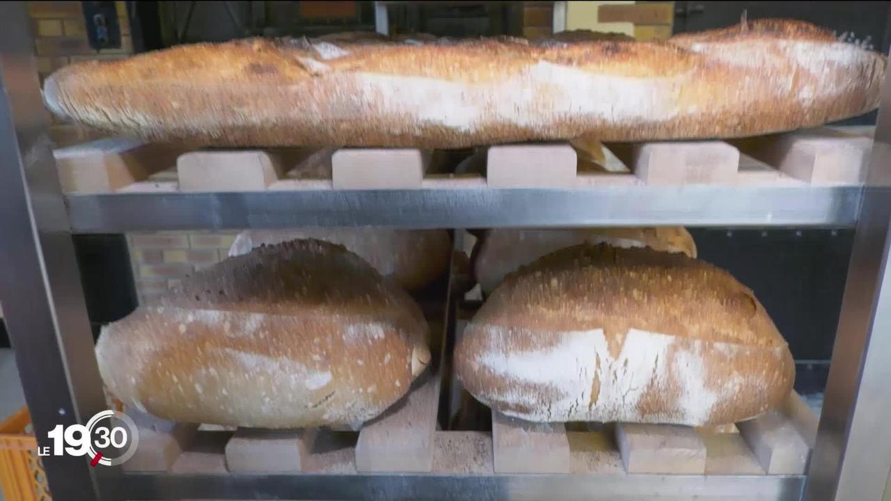 Des boulangers suisses donnent un second souffle au secteur en mettant en avant des techniques artisanales