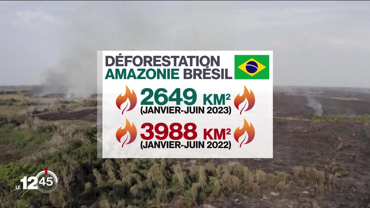 C'est l'un des objectifs du président brésilien Lula: préserver la forêt amazonienne. La déforestation est en recul.