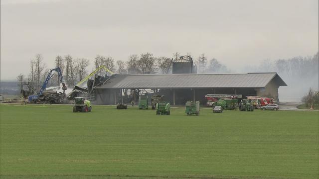 Plus de 500 animaux meurent dans les flammes à Bottens (VD)