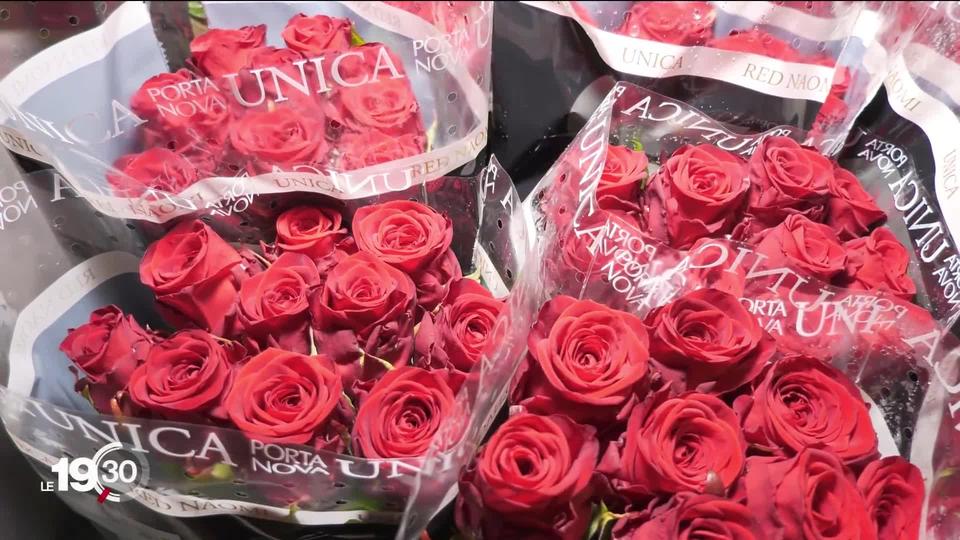 À la veille de la Saint-Valentin, les producteurs de fleurs romands ne voient pas la vie en rose