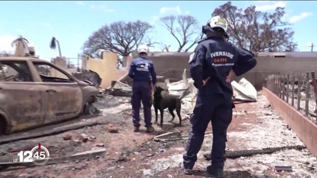 Incendies à Hawaï: La barre des 100 victimes dépassée, 1'300 personnes encore disparues