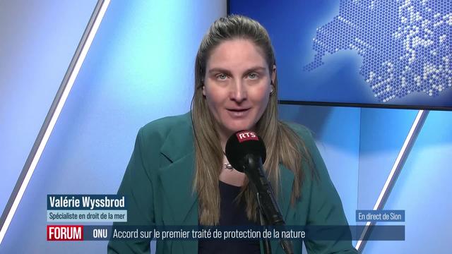 Un premier traité international de protection de la Haute mer conclu à l’ONU: interview de Valérie Wyssbrod (vidéo)