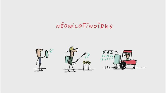 C’est quoi les néonicotinoïdes ?