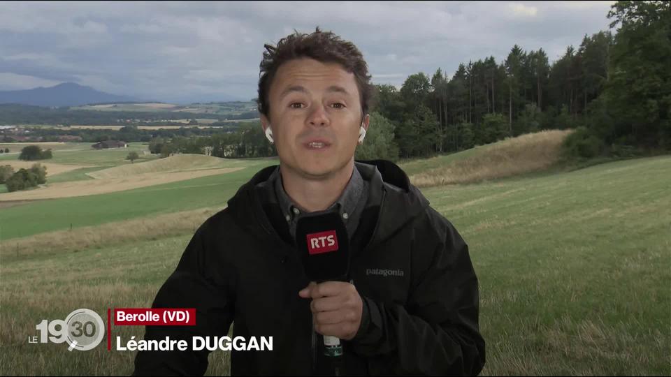 Série sur le loup: Léandre Duggan explique pourquoi le retour du loup a bouleversé toute une région du canton de Vaud