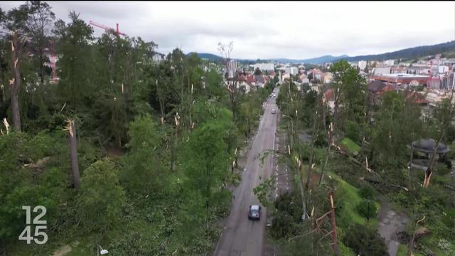 La Chaux-de-Fonds (NE) continue d’évaluer les dégâts de la tempête du 24 juillet dernier. Les forêts ont été durement touchées