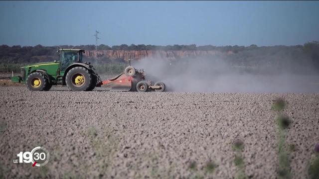 Le sud de l'Espagne subit un épisode de canicule exceptionnellement précoce.