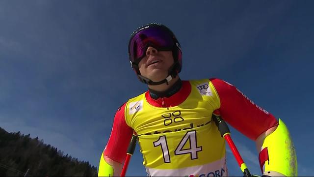 Kranjska Gora (SLO), slalom géant messieurs, 1re manche: Gino Caviezel (SUI)