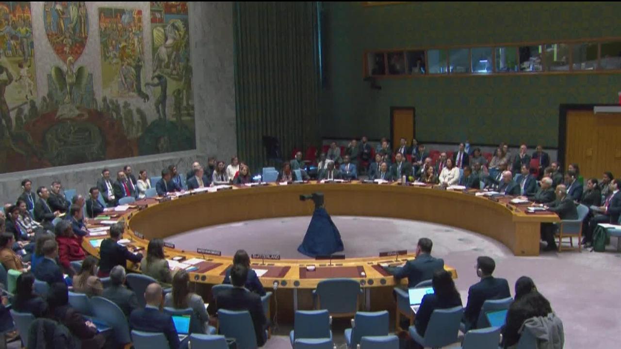 Après 5 jours de négociations, le Conseil de sécurité de l'ONU a exigé l'acheminement de l'aide humanitaire à Gaza.