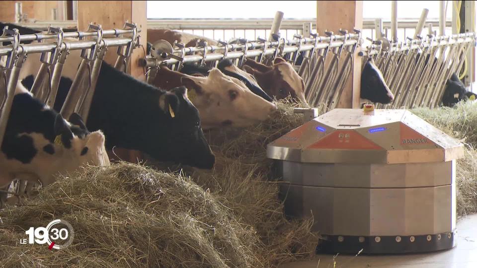 La ferme innovante de Grangeneuve (FR) utilise des technologies dernier cri pour une production écologique et de qualité