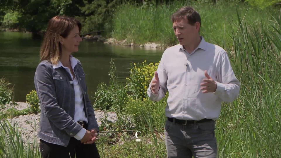 Les rivières genevoises retrouvent leur splendeur d’antan. Entretien avec Franck Pidoux, directeur du Service du lac, de la renaturation des cours d’eau et de la pêche