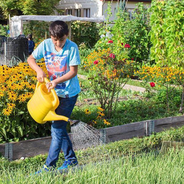 Nouveaux Jardins et Ouvre ton jardin sont mis en place par l'EPER pour favoriser l'intégration des personnes migrantes [eper.ch/nouveaux-jardins]