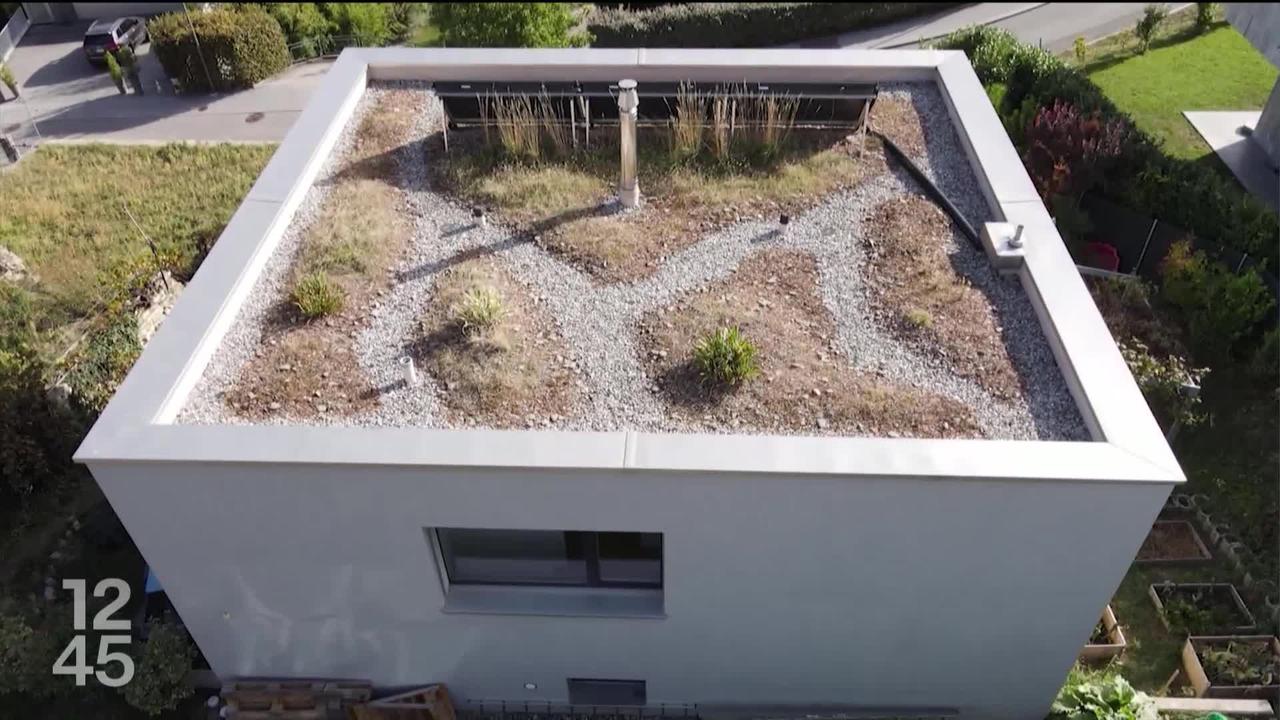 Sion (VS) et d’autres villes romandes subventionnent les toitures végétalisées pour lutter contre les îlots de chaleur