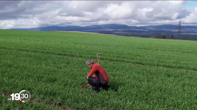 Quel bilan carbone pour l’agriculture vaudoise? Après un an d’analyses précises, l'association Prométerre a identifié les leviers possibles