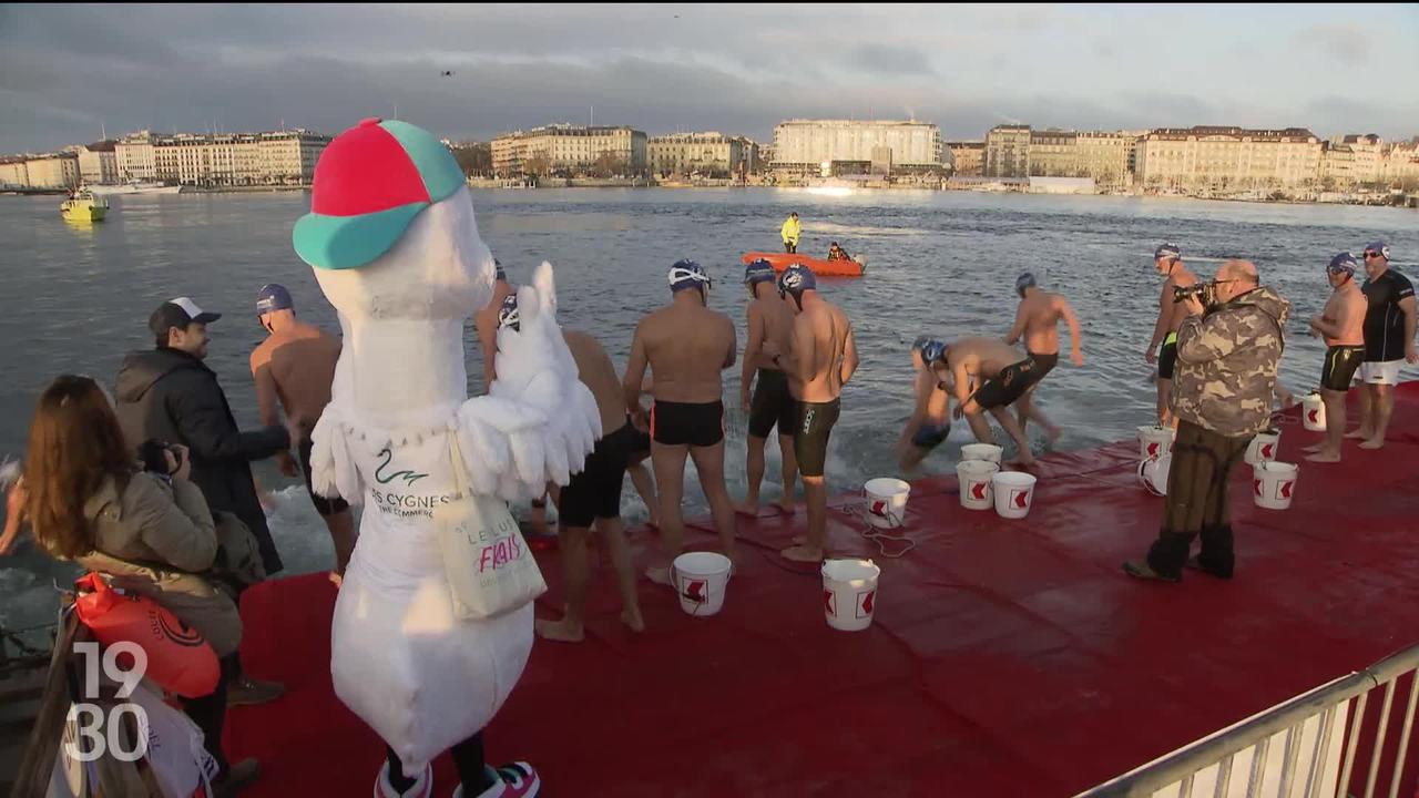 Coupe de Noël à Genève: des milliers de nageurs se jettent dans le Lac Léman