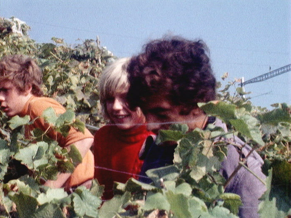 Mélange culturel dans les vignes vaudoises [RTS]