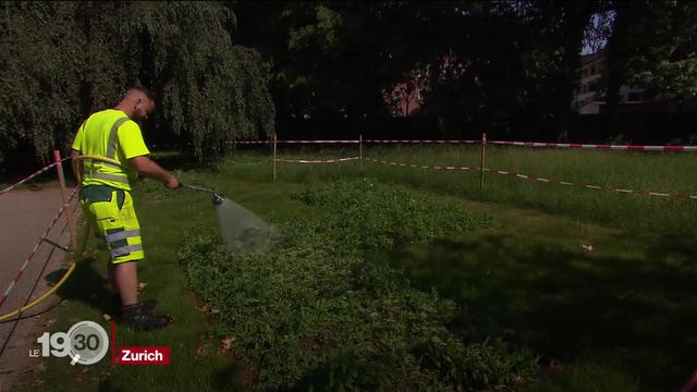 Un carré arc en ciel, symbole de la communauté LGBT, s'apprête à ouvrir dans un grand cimetière zurichois. Reportage