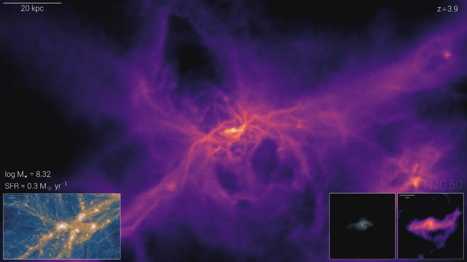 IllustrisTNG Single Galaxy Formation Simulation