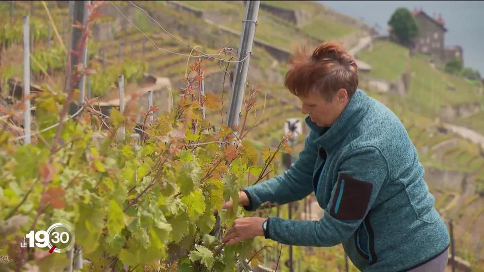 Le printemps met du temps à s’installer cette année. Cette situation n’est pas sans impacter l’agriculture