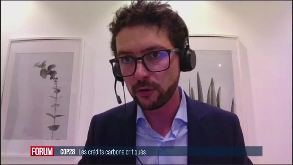 La COP 28 va-t-elle sauver les très décriés crédits carbone? Interview de Sébastien Duyck