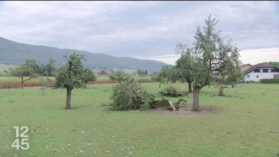 Après la canicule, les orages. Les premiers ont touché le Valais et surtout le Jura hier soir