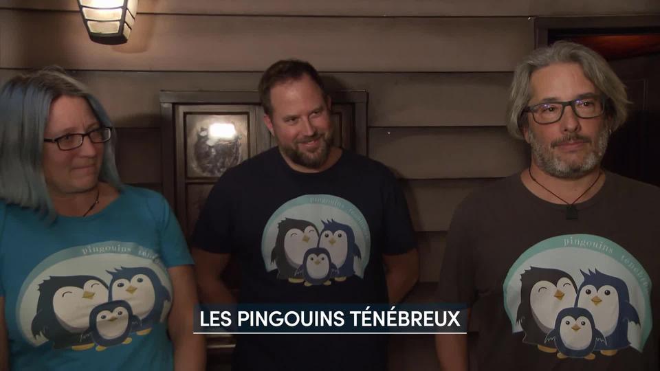 La bande des "Pingouins ténébreux" déjoue les mystères de salles d’énigmes aux quatre coins de l’Europe. Rencontre