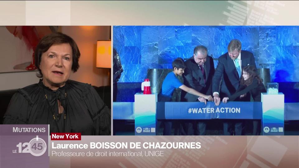 Laurence Boisson de Chazournes, spécialiste des questions juridiques liées à l'eau, décrypte les enjeux capitaux de la gestion durable de l'eau