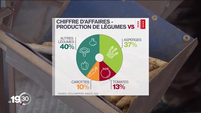 La récolte des asperges a commencé en Valais. Un marché porteur pour les maraîchers du canton.