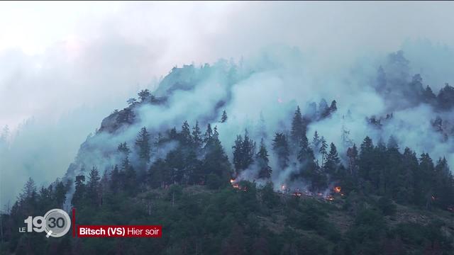 L’incendie qui a déjà détruit 100 hectares de forêt dans le Haut-Valais n'est toujours pas maîtrisé