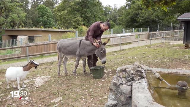 Après la tempête, le zoo de La Chaux-de-Fonds ne déplore ni victime, ni évasion, mais reste pour l'heure fermé